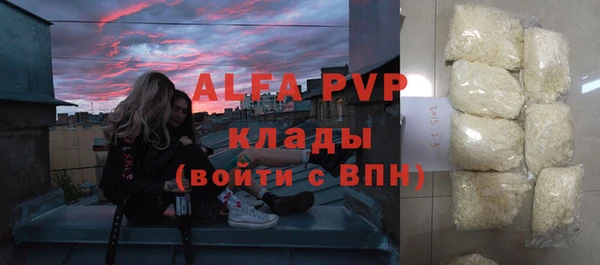 эйфоретик Богданович