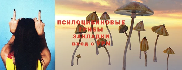 эйфоретик Богданович