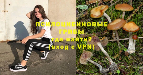ГАЛЛЮЦИНОГЕННЫЕ ГРИБЫ Богородицк