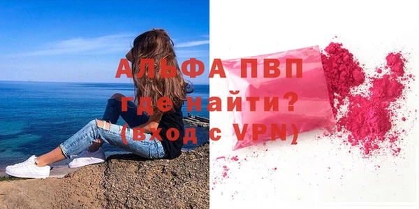 эйфоретик Богданович