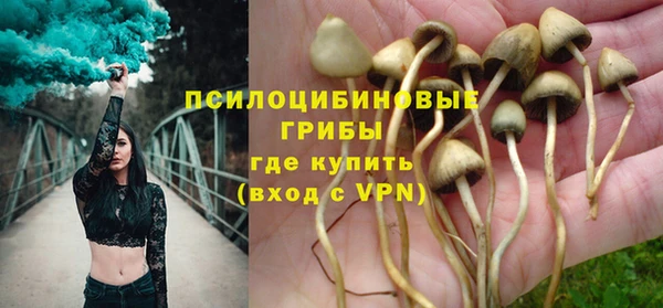 ГАЛЛЮЦИНОГЕННЫЕ ГРИБЫ Богородицк