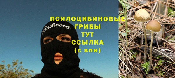 ГАЛЛЮЦИНОГЕННЫЕ ГРИБЫ Богородицк