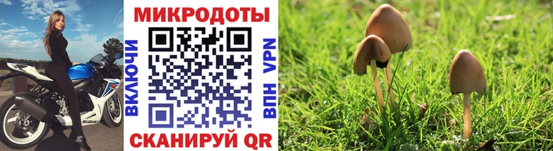 OMG ссылка  Ангарск  Галлюциногенные грибы Psilocybine cubensis 